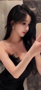 家计谋性矿产资本和有色金属财产